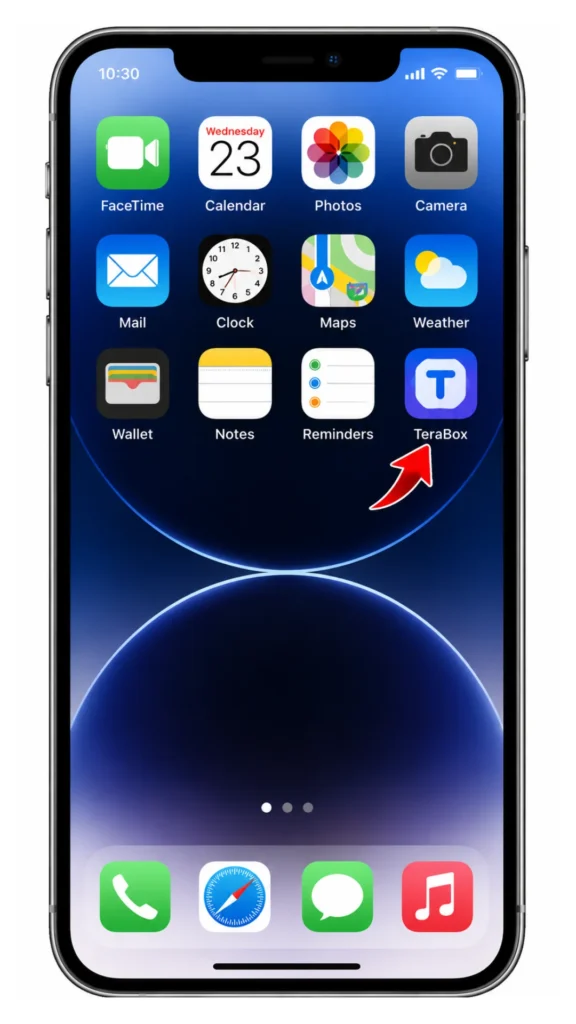 iPhone iOS home screen showing the TeraBox app icon along with default Apple apps like FaceTime, Calendar, Photos, and Camera.